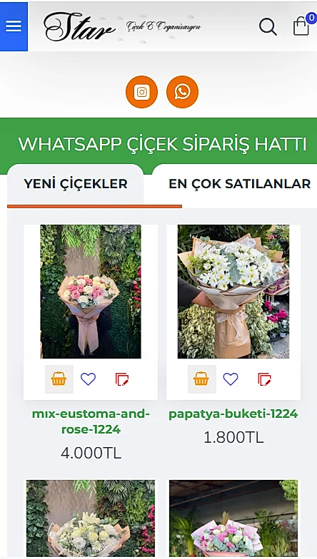 Alanya Web Tasarım, Alanya Ads Reklamları, alanya hamam programı,alanya bilgisayar kursu, alanya bilgisayar format, dosya kurtarma, alanya araç takip sistemi, alanya server kurulumu, alanya hotspot, alanya internet kurulumu,